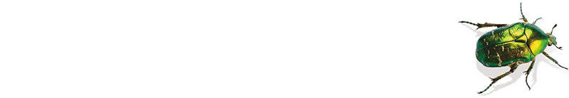 banner-800px